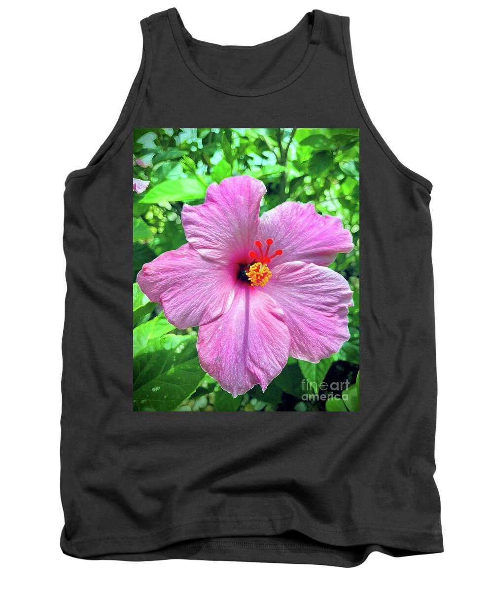 Pink Petals Tank Top featuring the photograph Perky in Pink Hibiscus by Barbie Corbett-Newmin