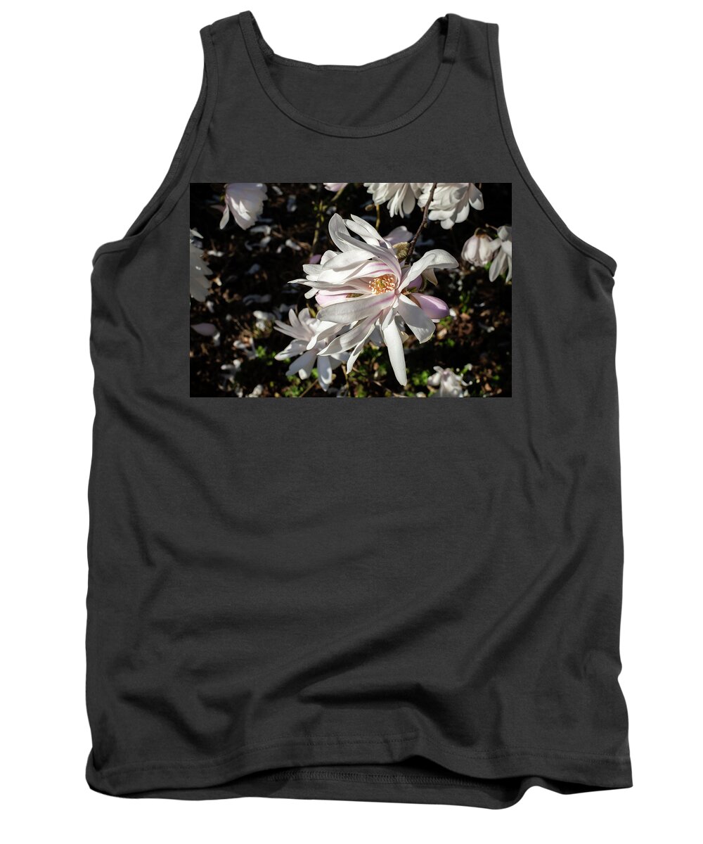 Magnolia Tank Top featuring the photograph Petals in the Breeze by Rose Guinther