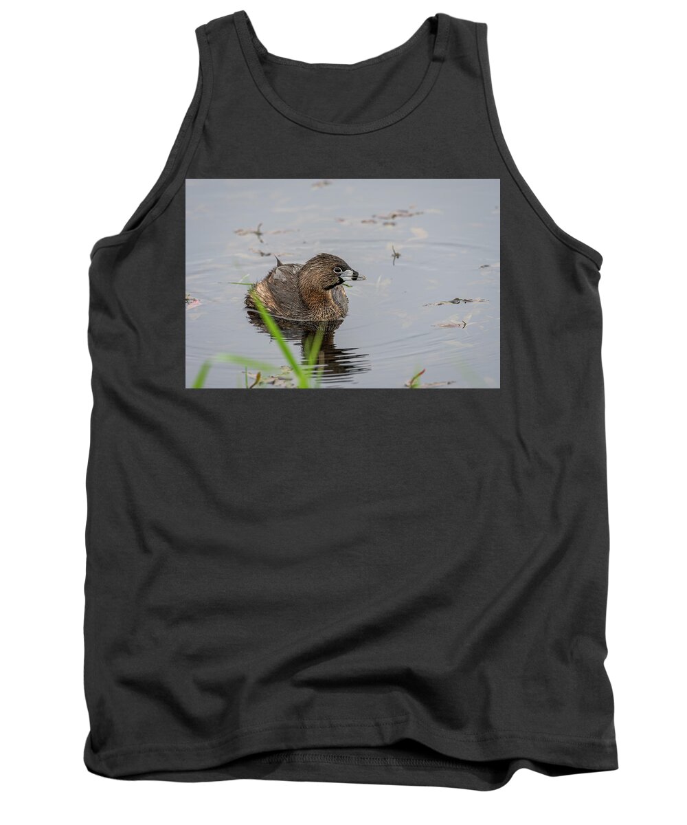 Animals Tank Top featuring the photograph Pied-billed I Be by Robert Potts