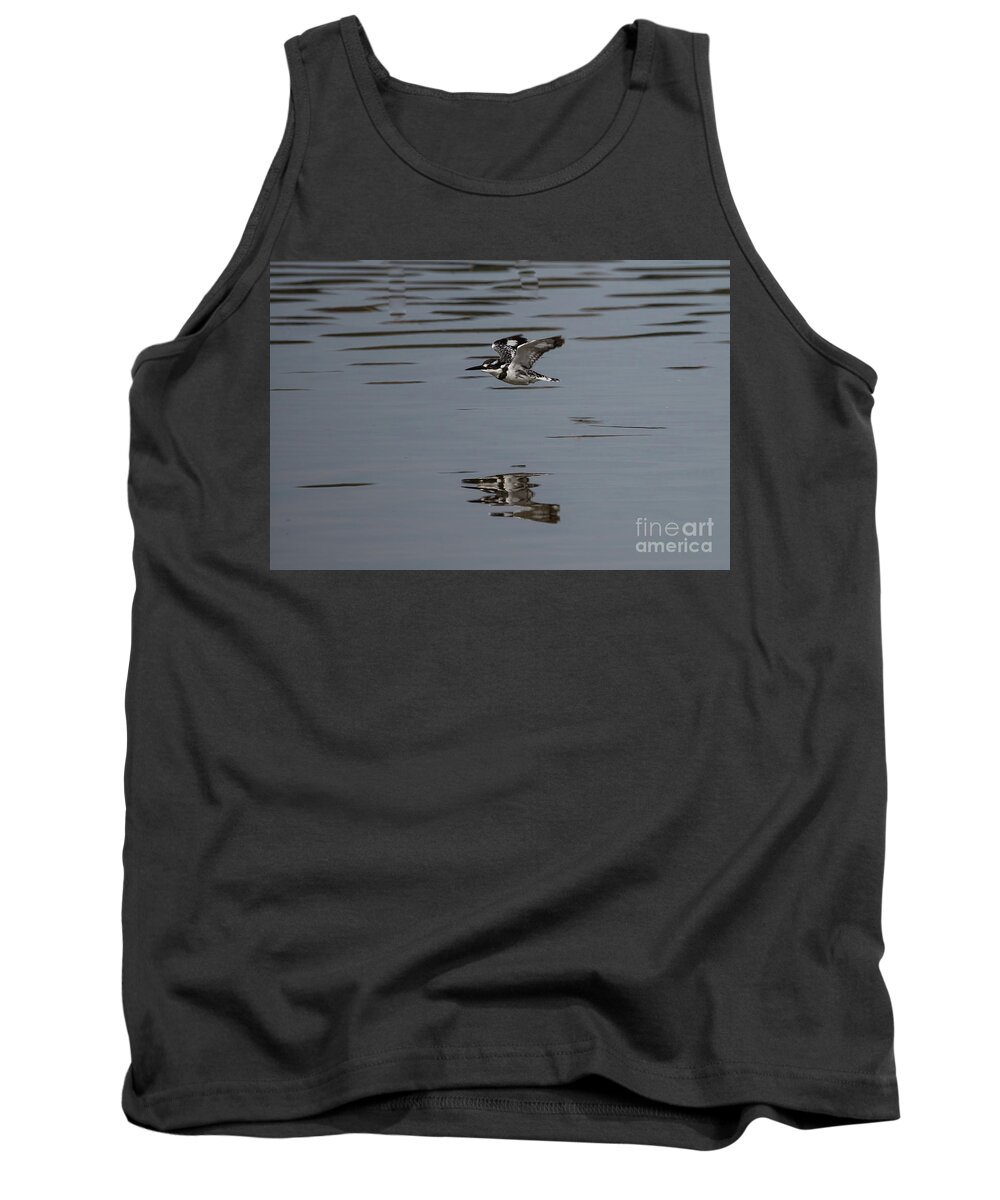 Pied Kingfisher Tank Top featuring the photograph Pied Kingfisher Fishing by Eva Lechner
