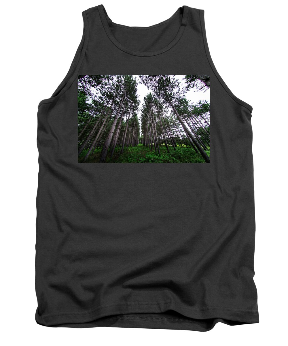 Pinetrees Tank Top featuring the photograph Pines that last forever by Nicole Engstrom