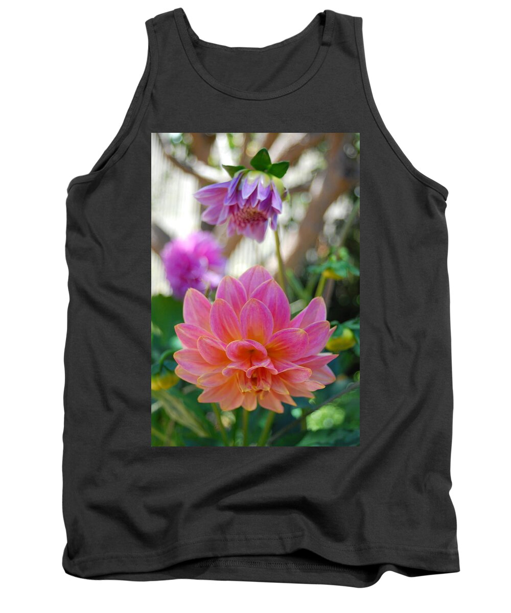 Dahlia Tank Top featuring the photograph Pink and Yellow Dahlias 1 by Amy Fose
