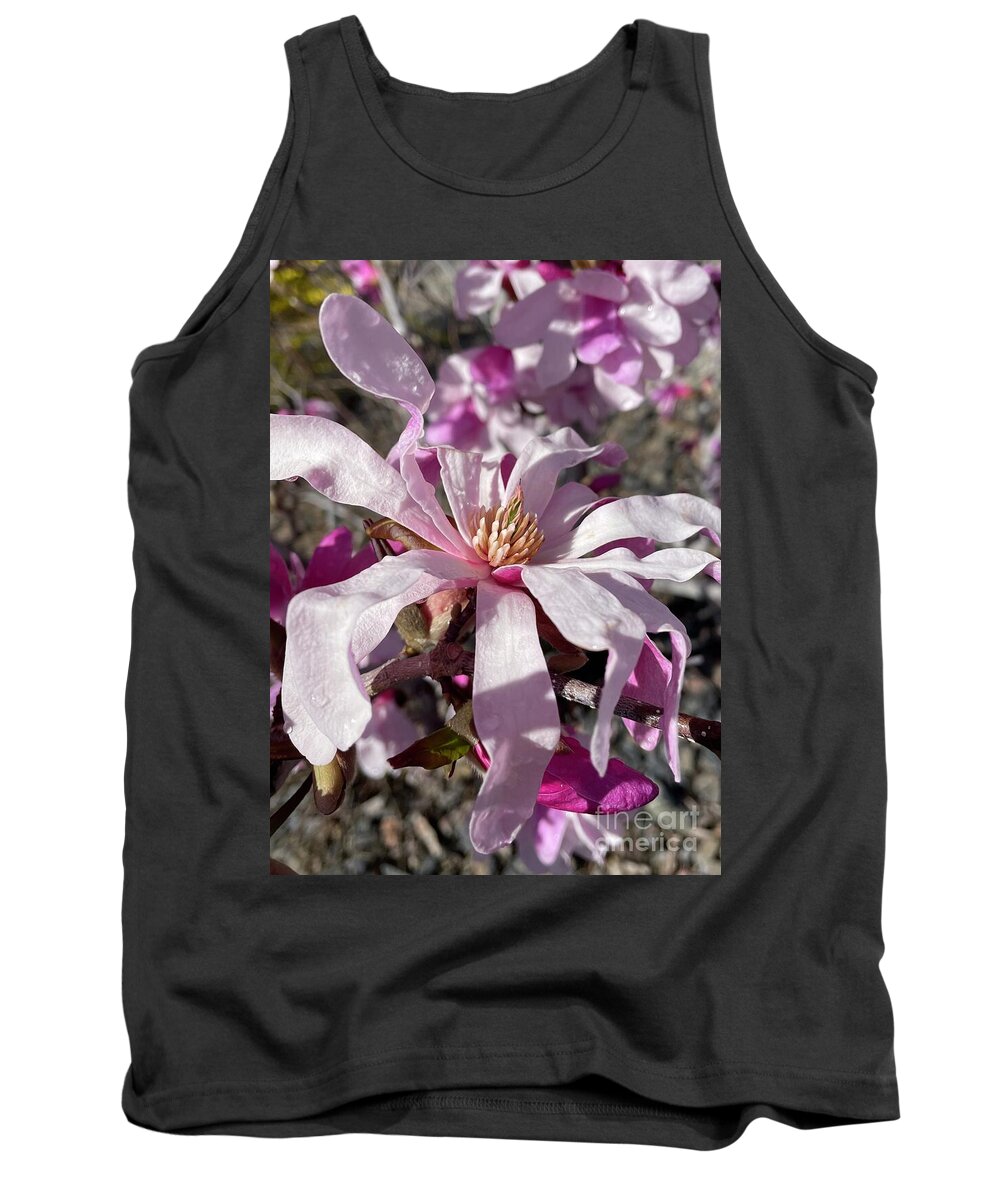 Pink Magnolias Tank Top featuring the photograph Pink Magnolia Flower by Carol Groenen