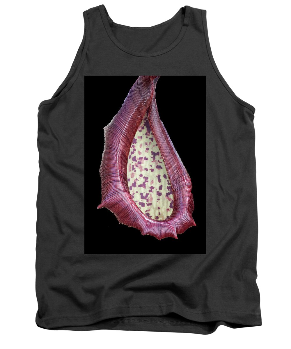 Pitcher Plant Tank Top featuring the photograph Pitcher Plant Leaf Up Close by Gary Slawsky
