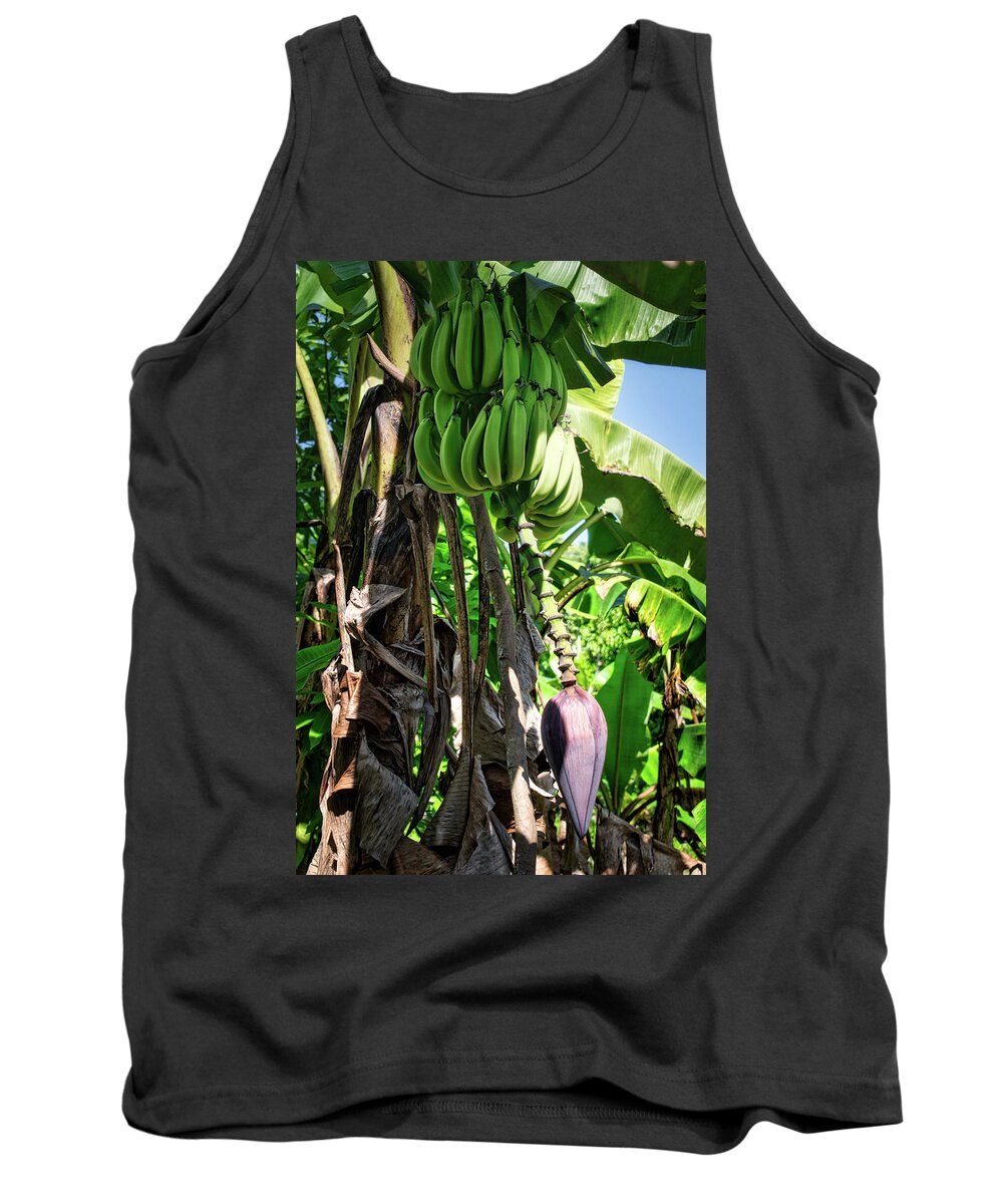 Plantain Tank Top featuring the photograph Plantains by Portia Olaughlin