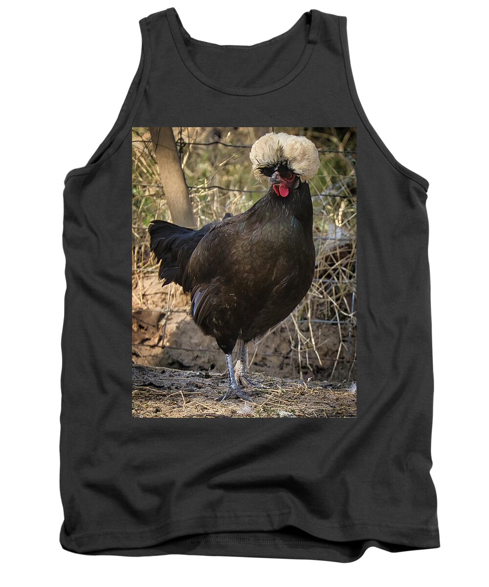 Chicken Tank Top featuring the photograph Polish Chicken by Rene Vasquez
