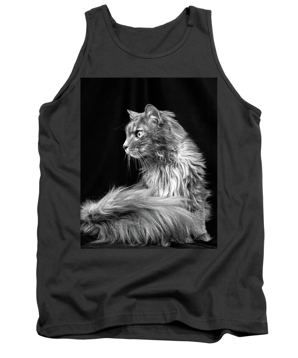 Cat Tank Top featuring the photograph Molly, Maine Coon Cat, in Black and White by Jeanette Fellows