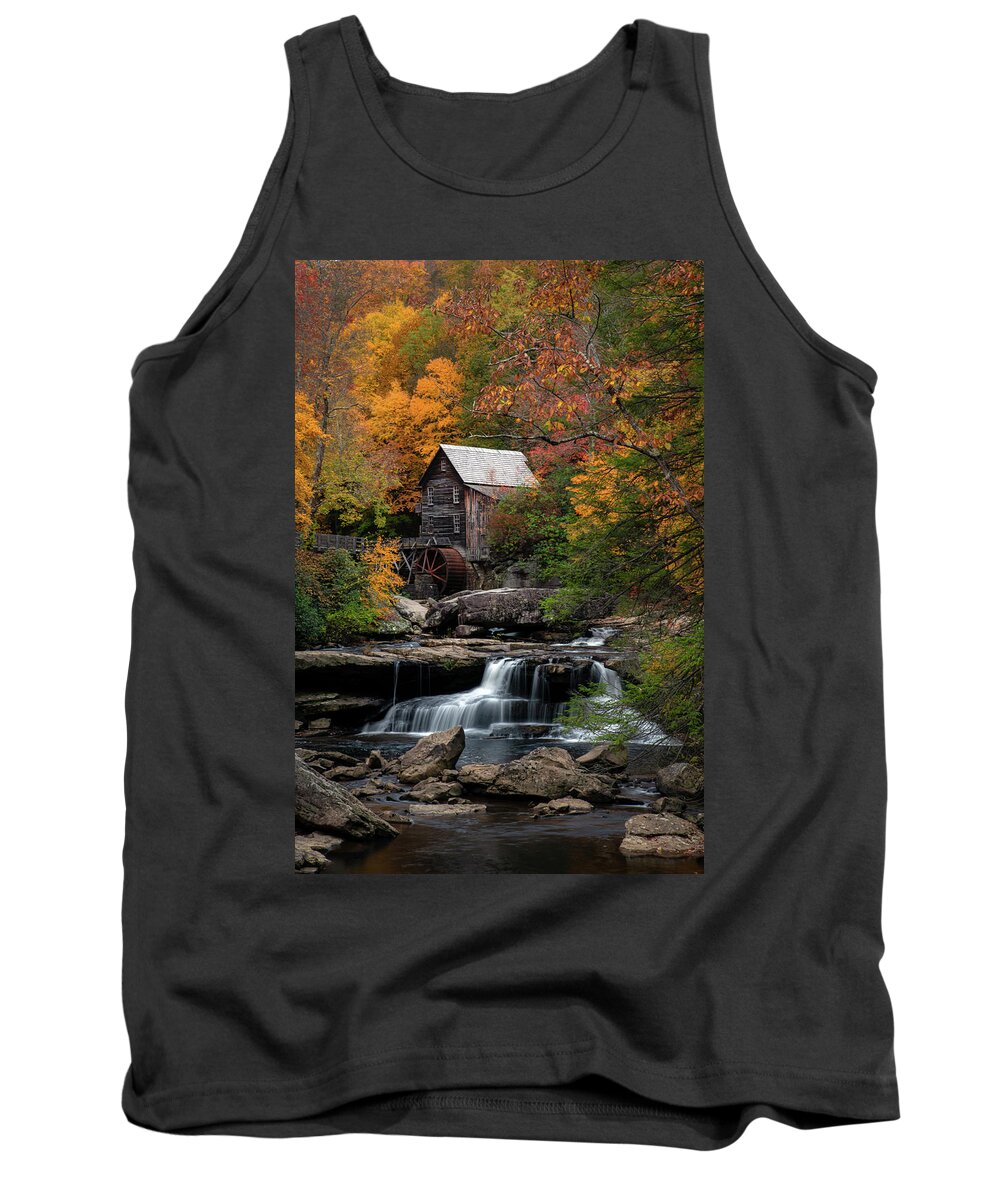 Blue Ridge Mountains Tank Top featuring the photograph Portrait of Beauty by Robert J Wagner