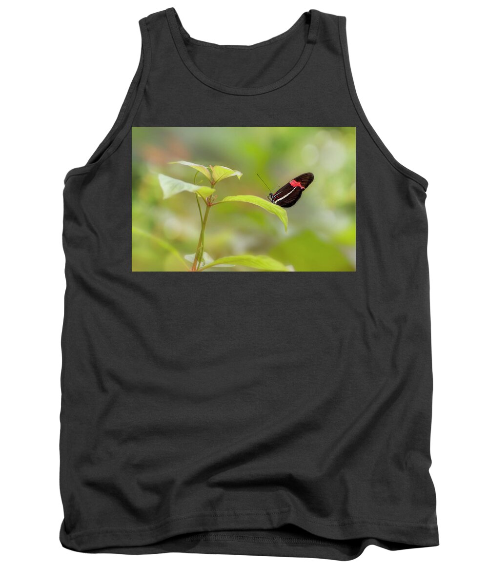 Postman Butterfly Tank Top featuring the photograph Postman Butterfly by John Poon