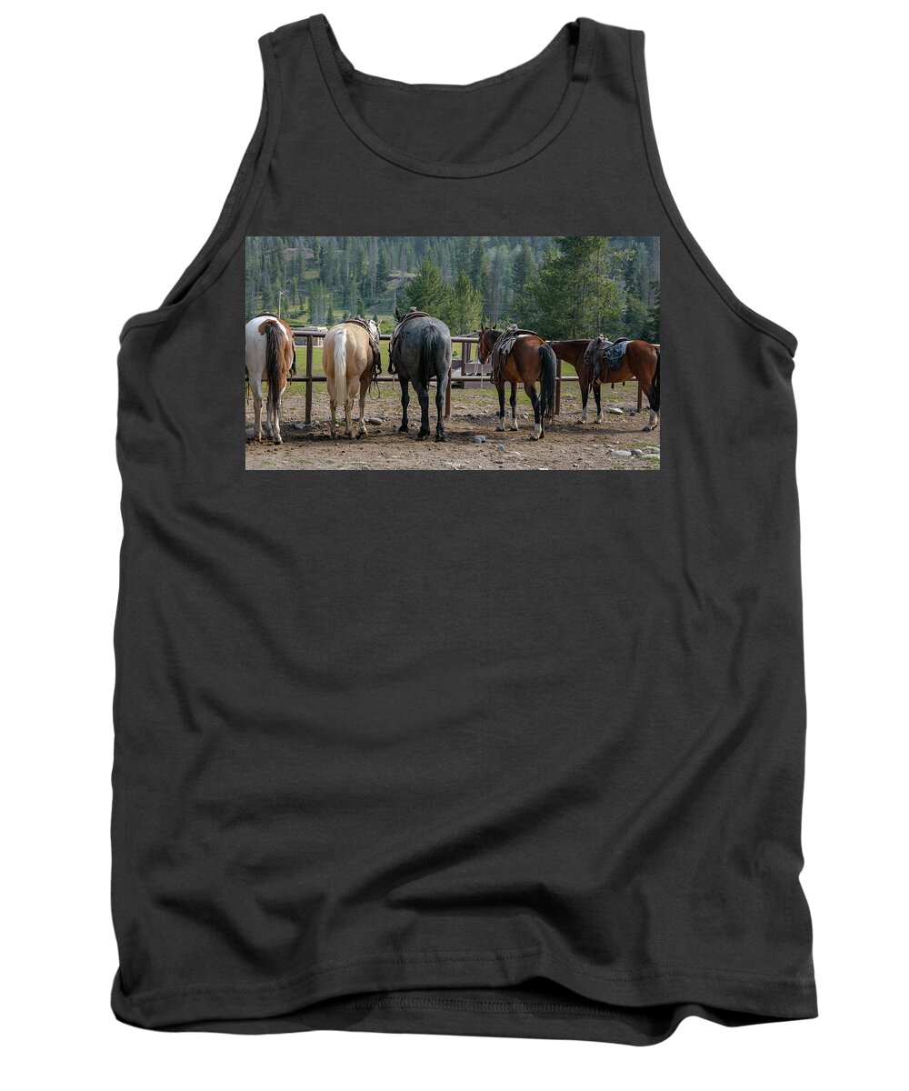 Horse Tank Top featuring the photograph Ready To Ride by Steve Kelley