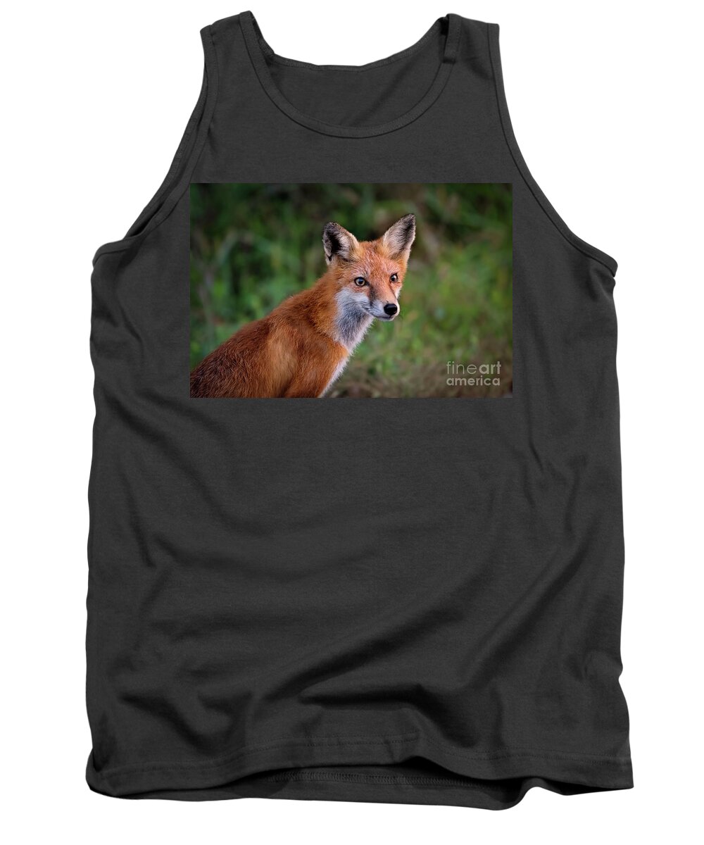 Red Fox Tank Top featuring the photograph Red Fox Portrait by Rehna George