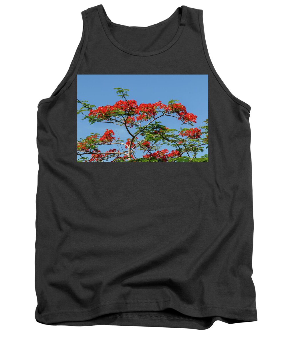 Flower Tank Top featuring the photograph Red Sky by Les Greenwood