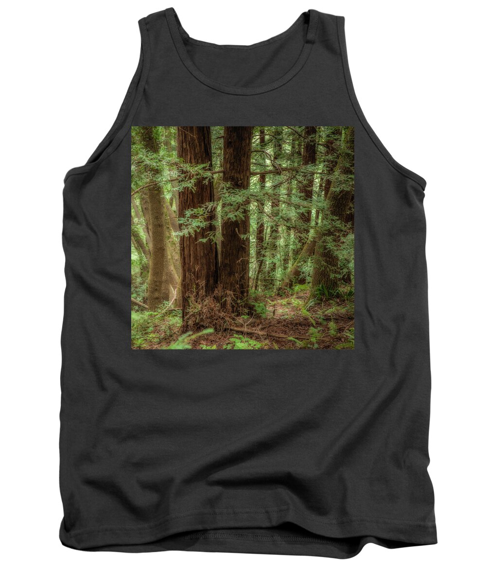 Redwoods Tank Top featuring the photograph Redwoods, Roy's Redwoods by Donald Kinney