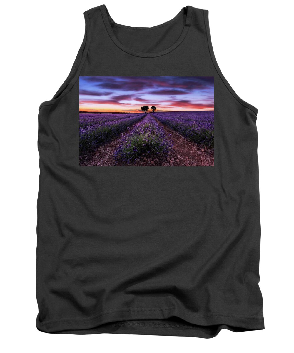 Landscape Tank Top featuring the photograph Reign of color by Jorge Maia