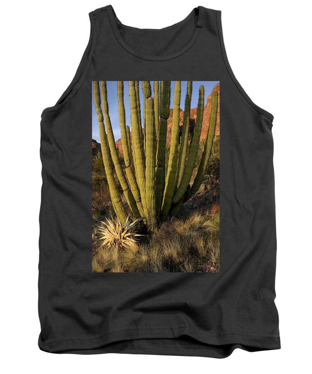 Ajo Mountain Drive Tank Top featuring the photograph Requiem Organ by James Covello