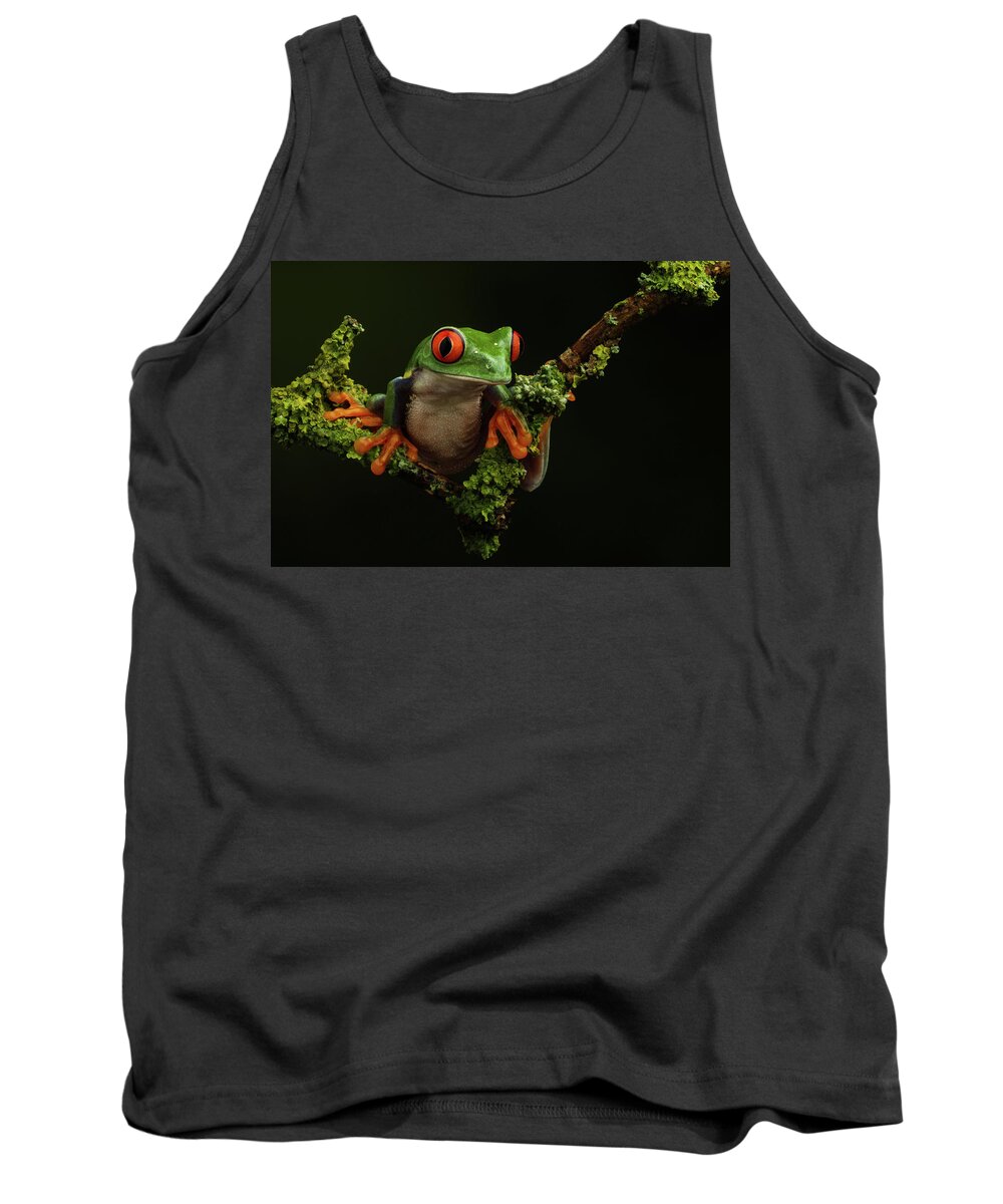 Frogs Tank Top featuring the photograph Retf-0303 by Miles Herbert
