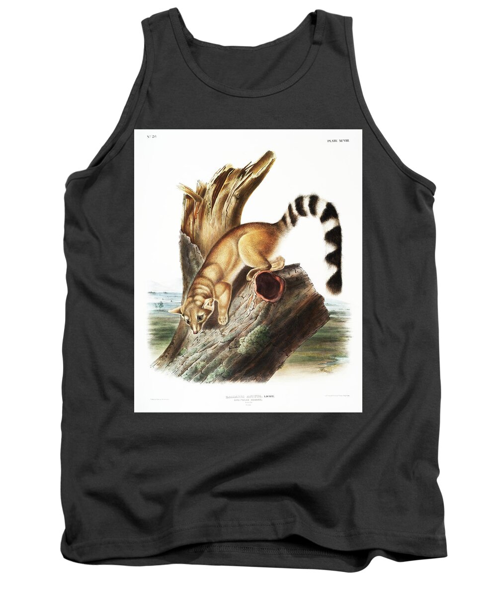 America Tank Top featuring the mixed media Ring-tailed Bassaris. John Woodhouse Audubon by World Art Collective