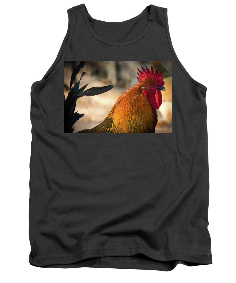 Chicken Tank Top featuring the photograph Rooster by Rene Vasquez