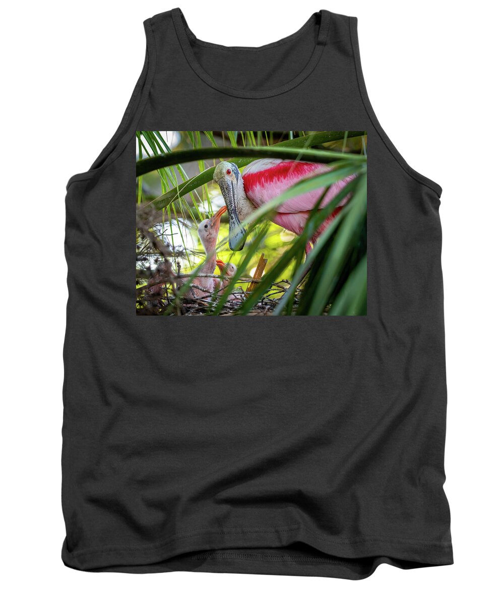 Roseate Spoonbill Tank Top featuring the photograph Roseate spoonbill and chicks by Robert Miller