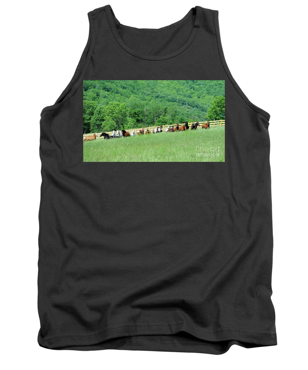 Rosemary Farm Sanctuary Tank Top featuring the photograph Rosemary Farm Herd #225 by Carien Schippers