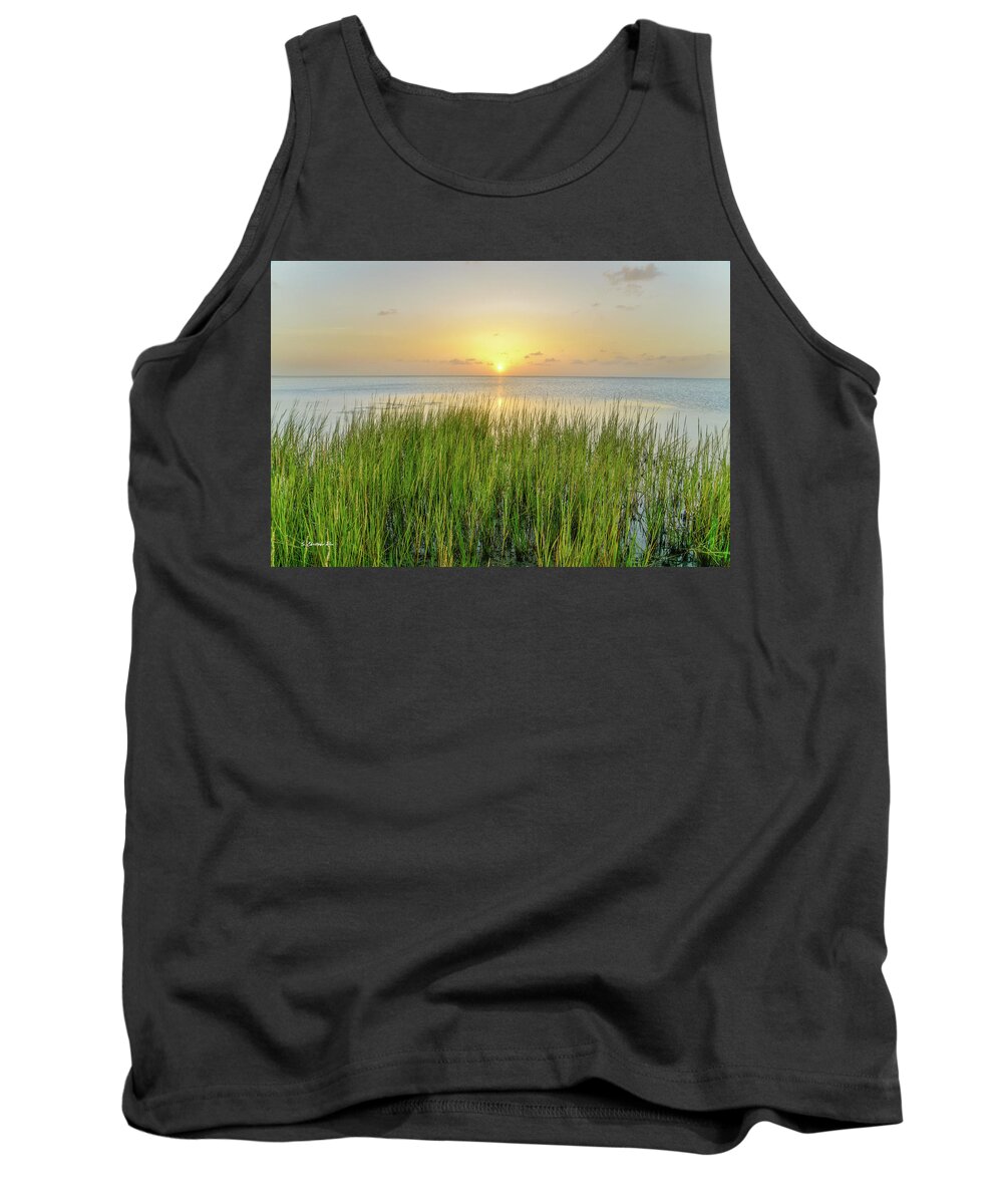 Howard Tank Top featuring the photograph Salt Grass Sunset by Christopher Rice