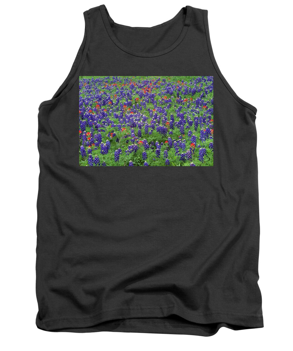00170990 Tank Top featuring the photograph Sand Bluebonnet And Paintbrush Texas by Tim Fitzharris