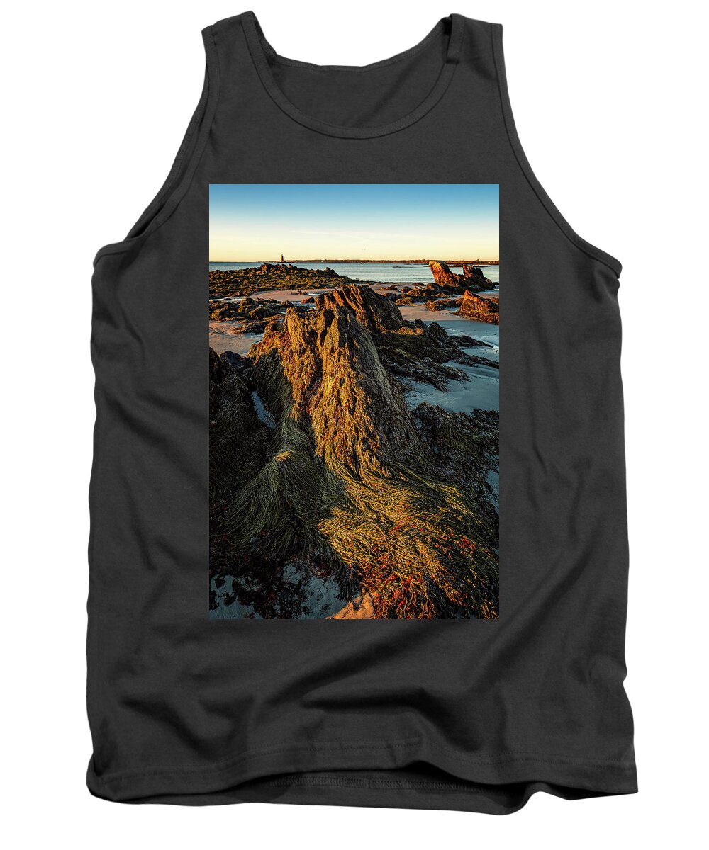 New Hampshire Tank Top featuring the photograph Seaweed Over Rocks At Low Tide, Fort Foster. by Jeff Sinon
