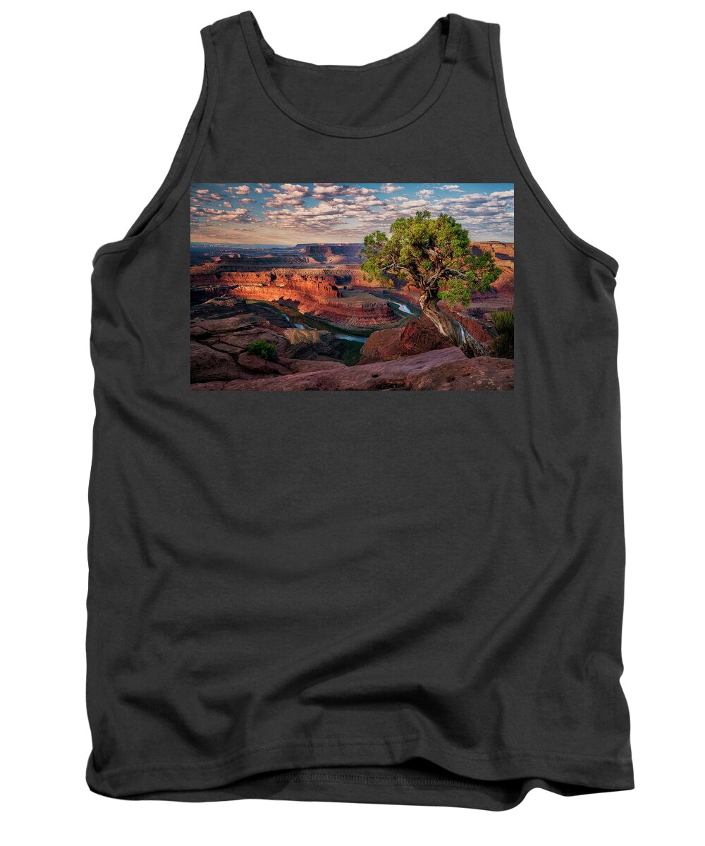 Dead Horse Point Tank Top featuring the photograph Sentinel On The Point by David Soldano
