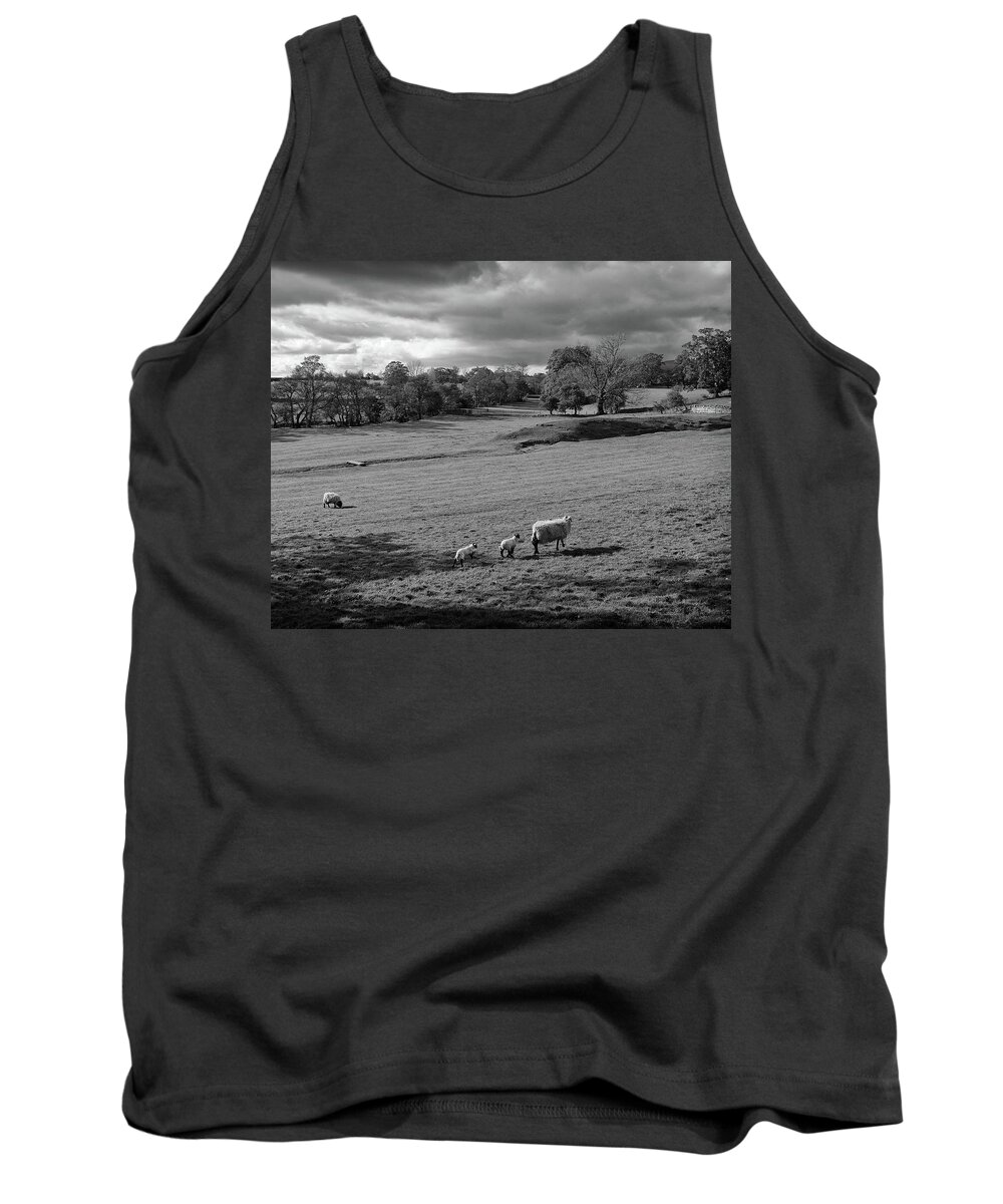 Sheep Tank Top featuring the photograph Sheep by Jim Mathis