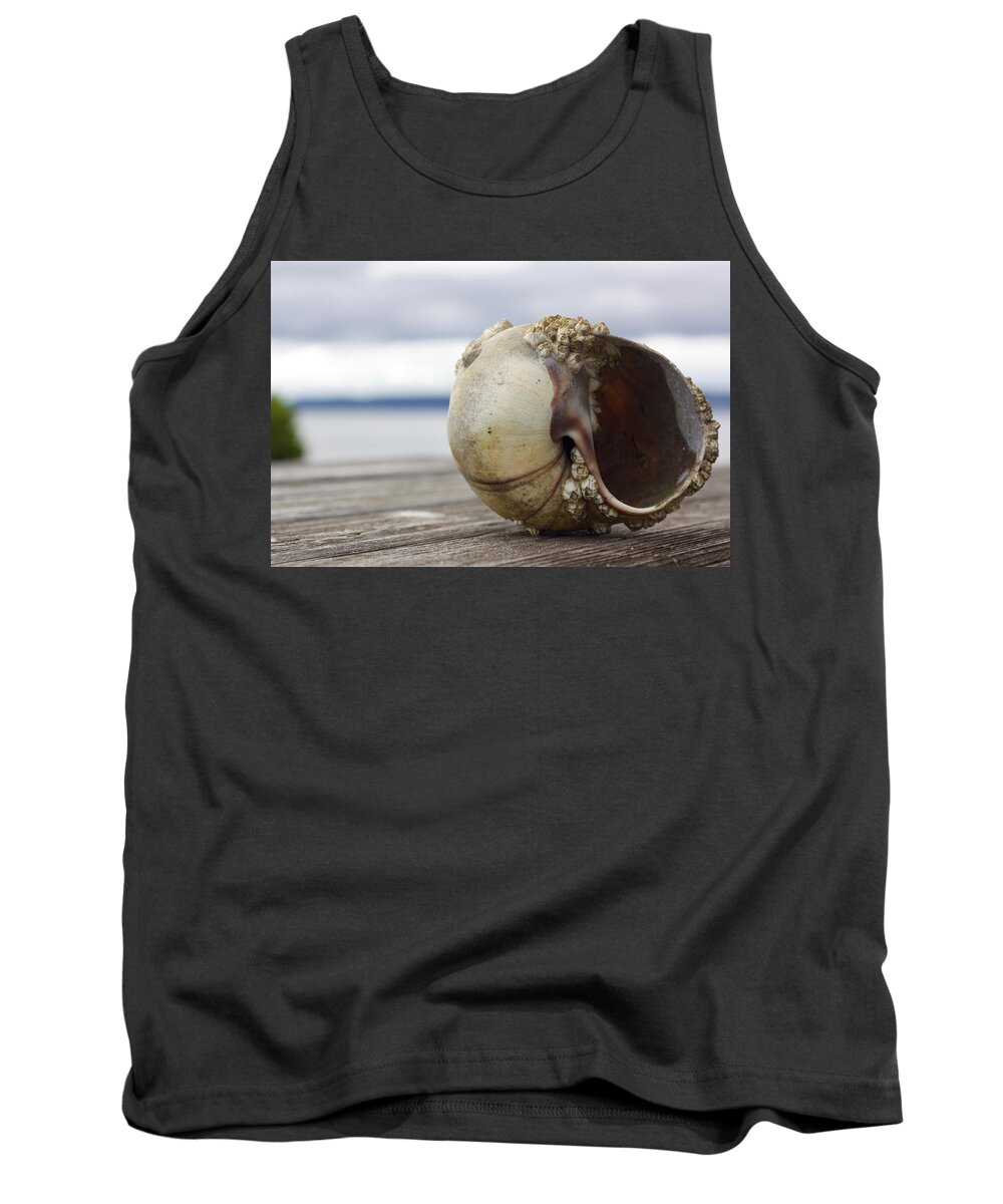 Shell Tank Top featuring the photograph Shell 2 by Carol Jorgensen