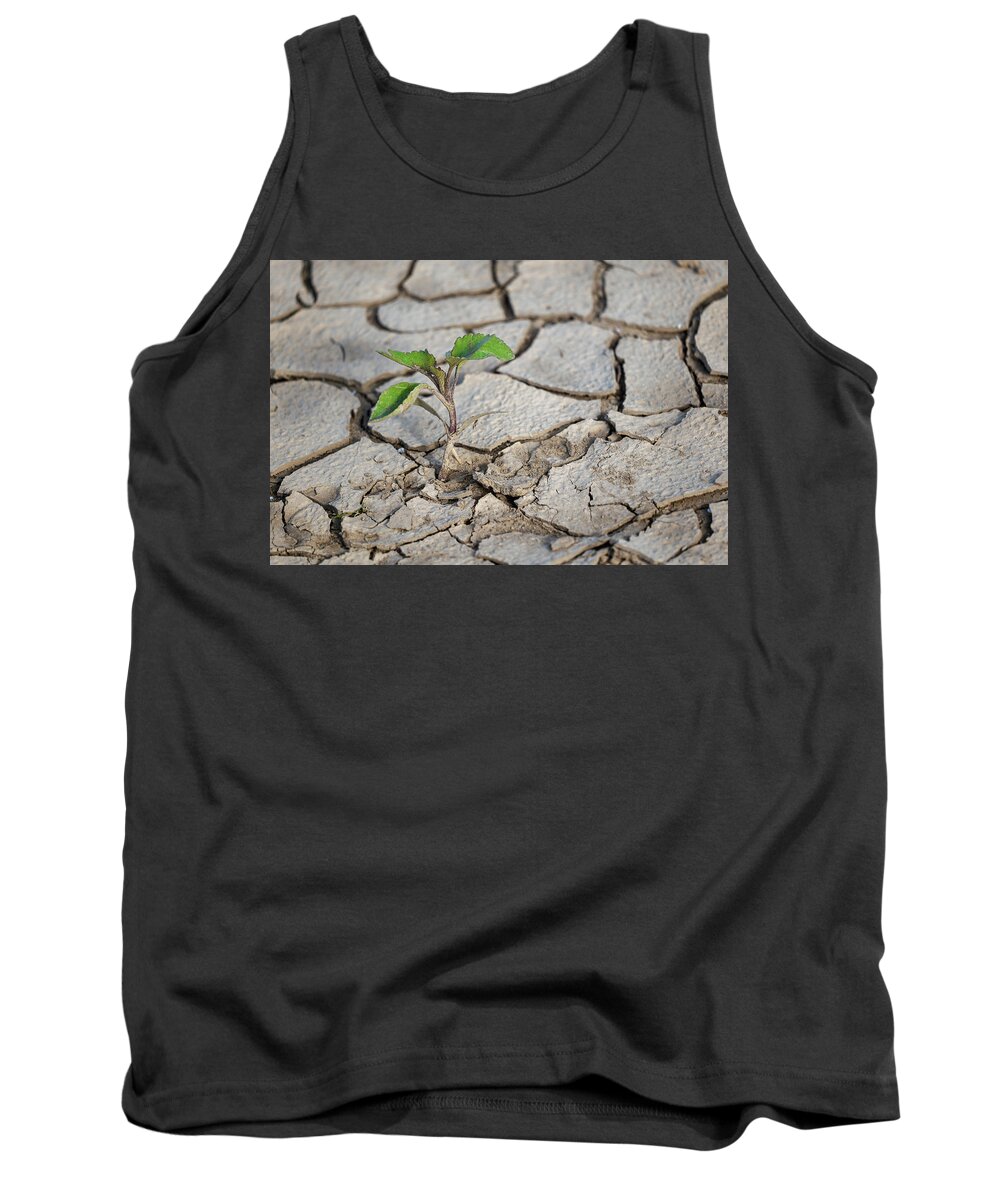 Plant Tank Top featuring the photograph Single Plant In Dry Ground by Artur Bogacki