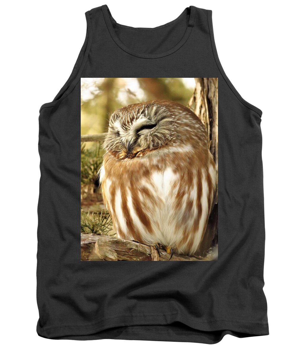 Owls Tank Top featuring the photograph Sleepy Saw Whet Owl by Lori Frisch