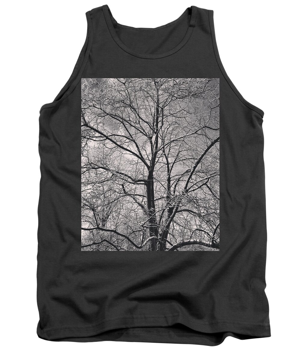 Snow Tank Top featuring the photograph Snowcovered Branches - Monochrome by Lisa Pearlman
