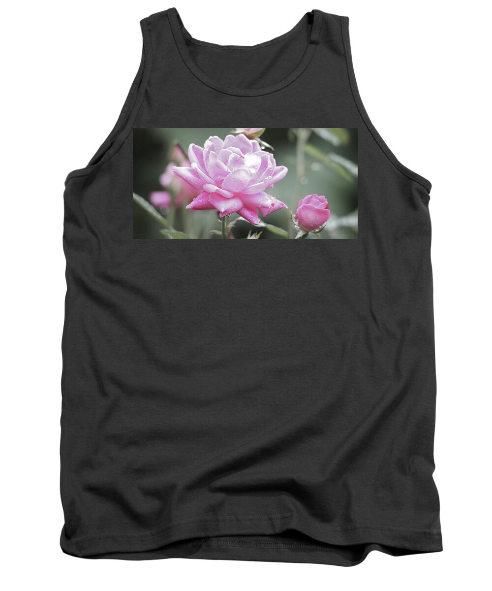 Pink Tank Top featuring the photograph Soft Focus Pink Rose by Scott Burd