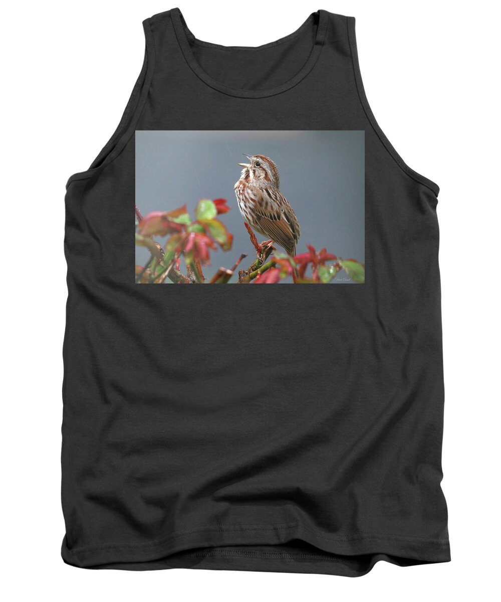 Birds Tank Top featuring the photograph Sparrow Singing in the Rain by Trina Ansel
