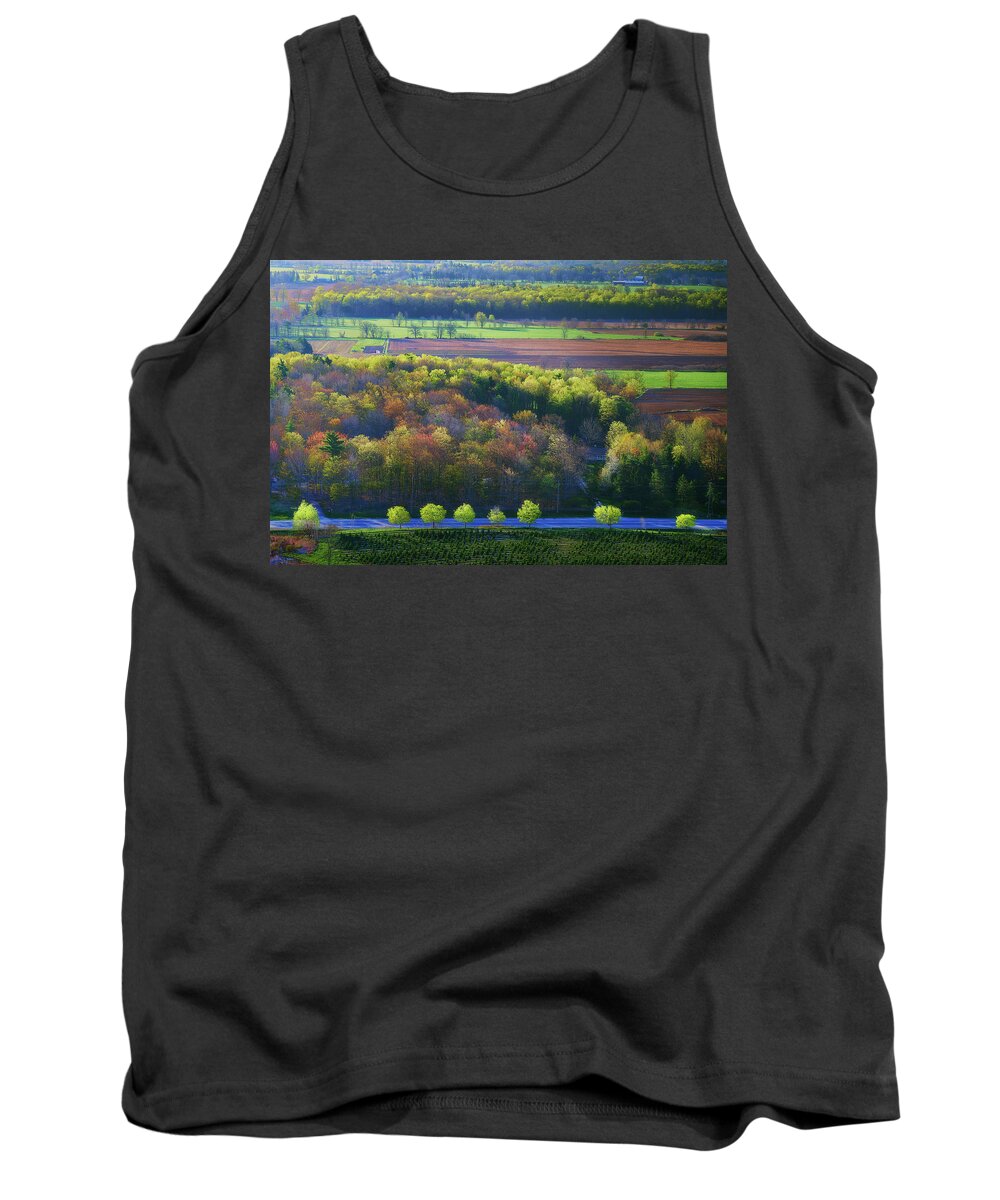 Spring Tank Top featuring the photograph Spring at Milton by Henry w Liu