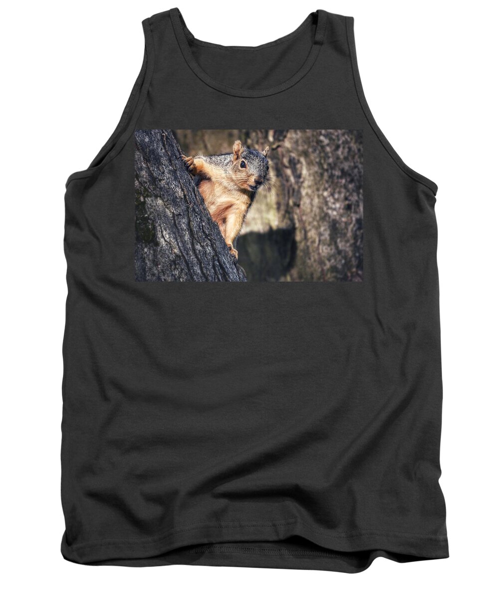 Photo Tank Top featuring the photograph Squirrel in Tree by Evan Foster