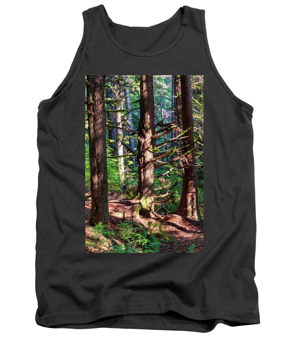 Redmond Watershed Preserve Tank Top featuring the photograph Squirrel Trail I-2022.10.1 by Phyllis McDaniel