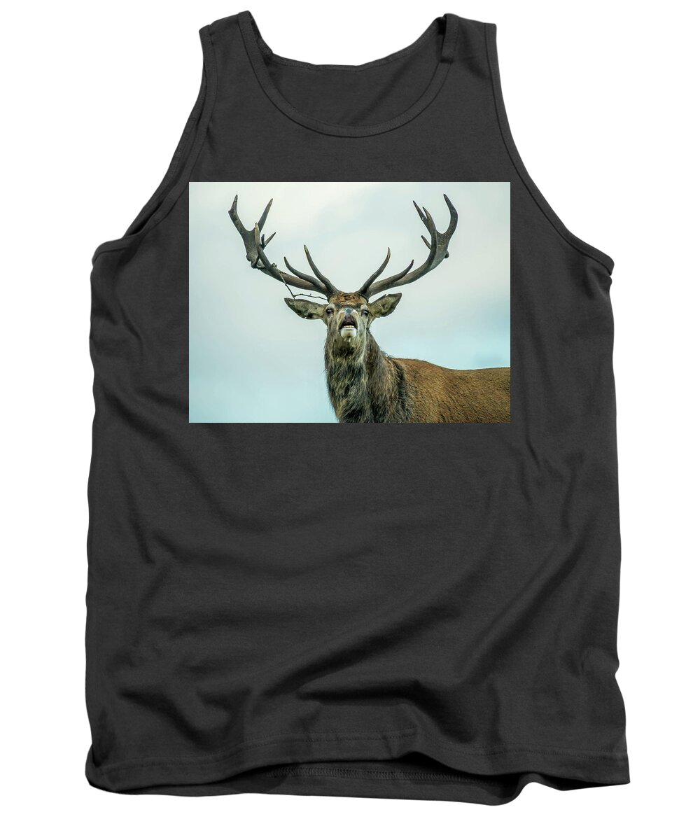 Stag Tank Top featuring the photograph Stag Call by Nick Bywater