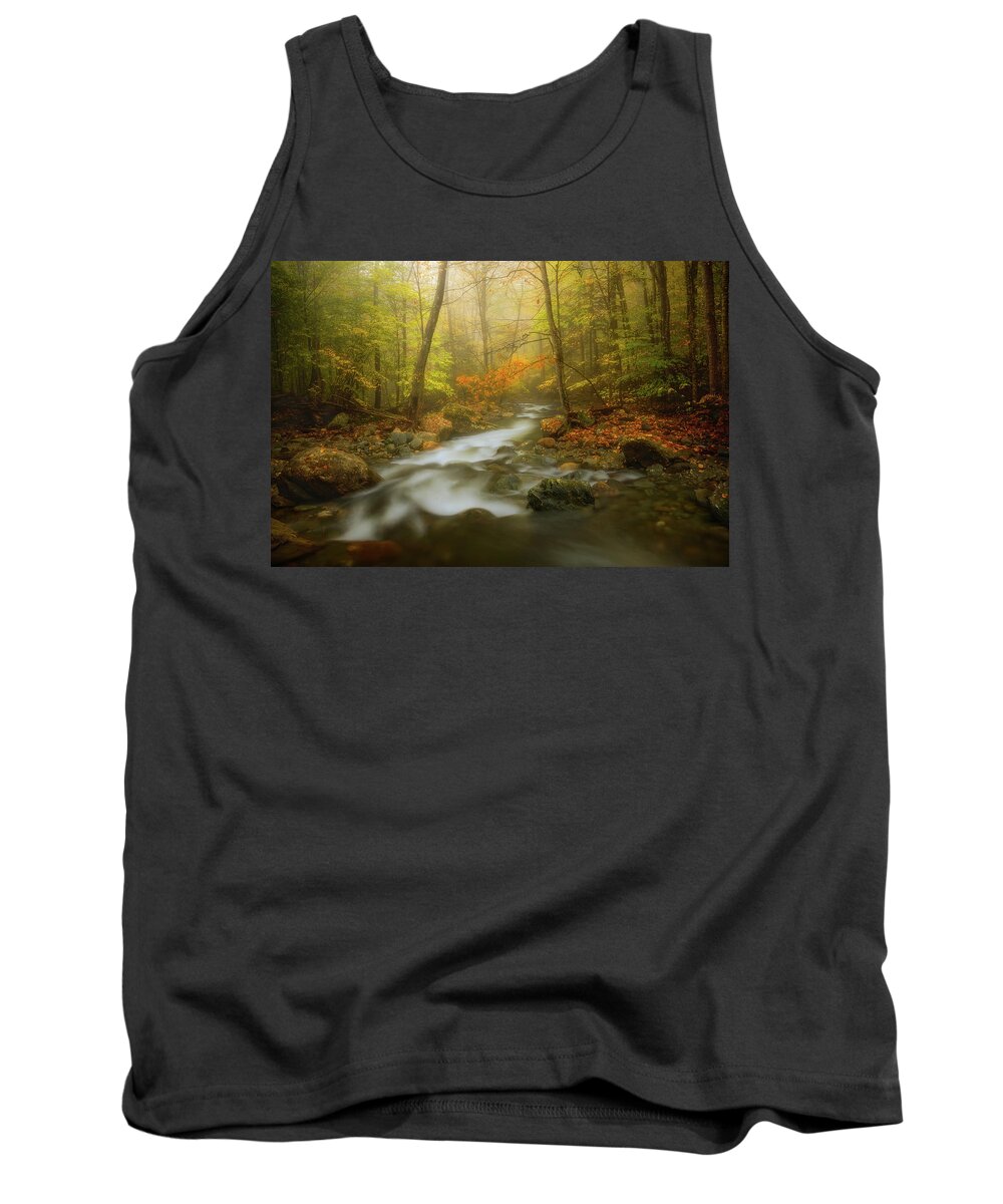 Autumn Tank Top featuring the photograph Stream in Forest by Henry w Liu