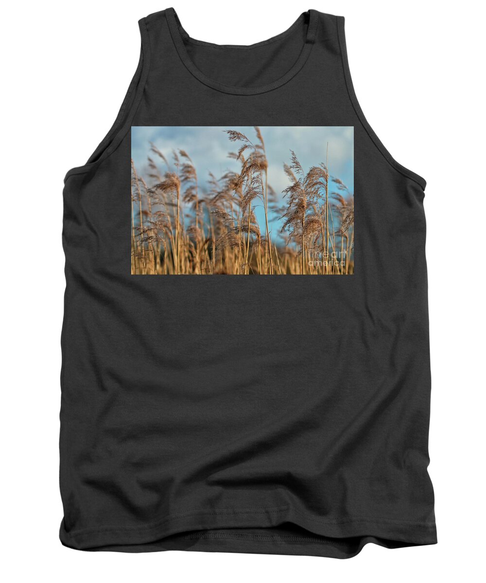 Nature Tank Top featuring the photograph Summer Pond Grasses by Baggieoldboy