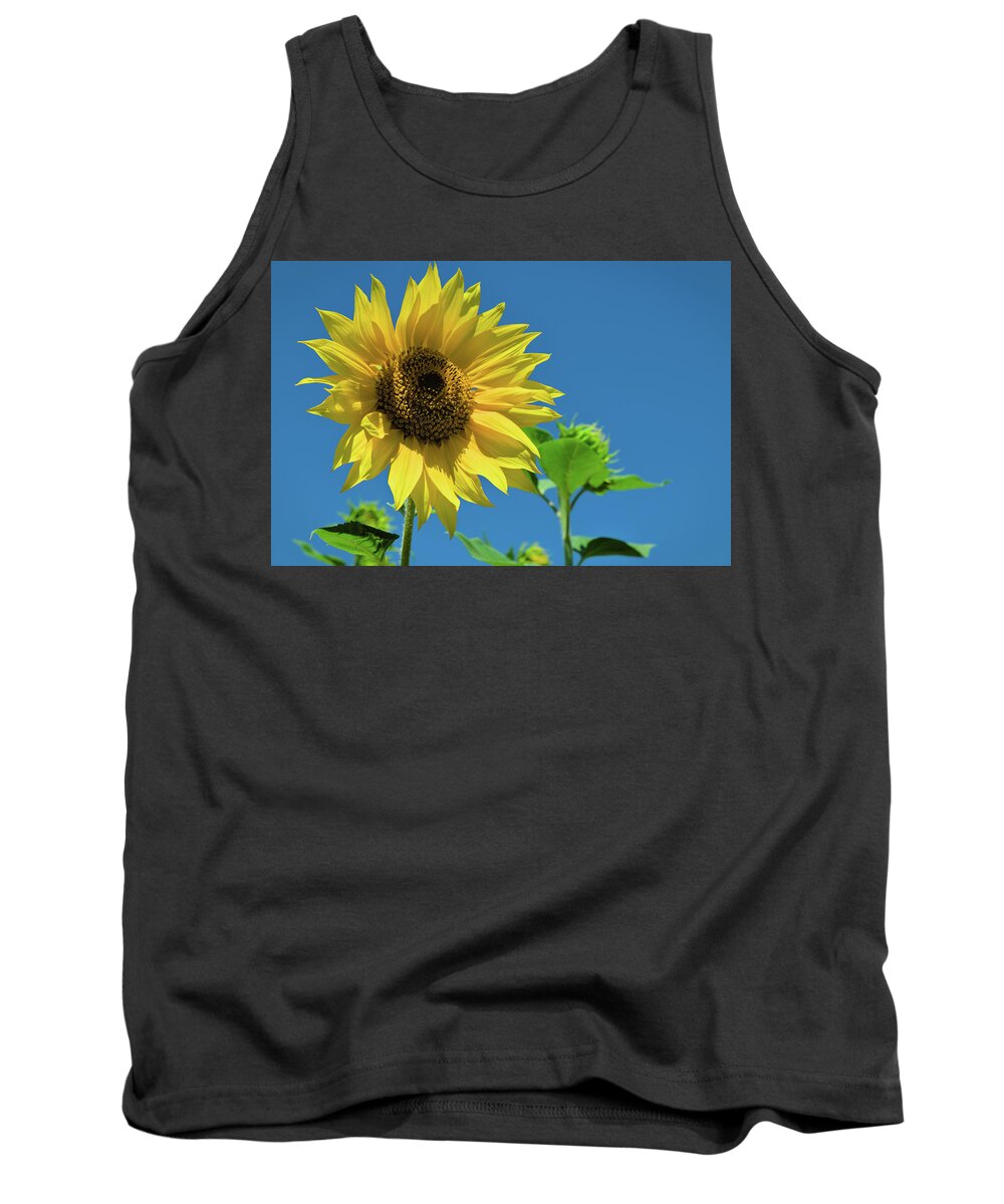 Sunflower Tank Top featuring the photograph Summer Sunflower by Angelo DeVal