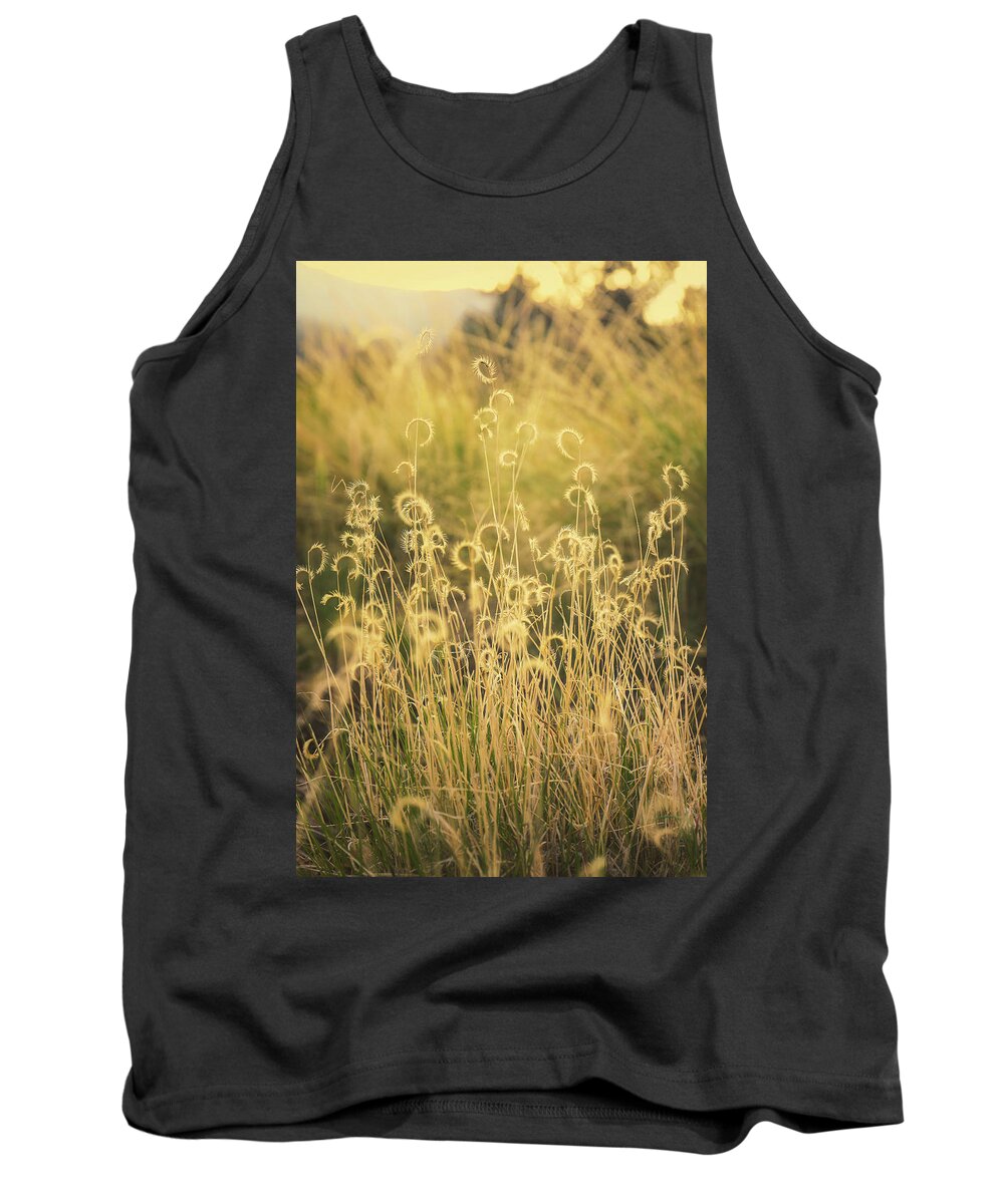 Mountain Tank Top featuring the photograph Sun Swirls by Go and Flow Photos