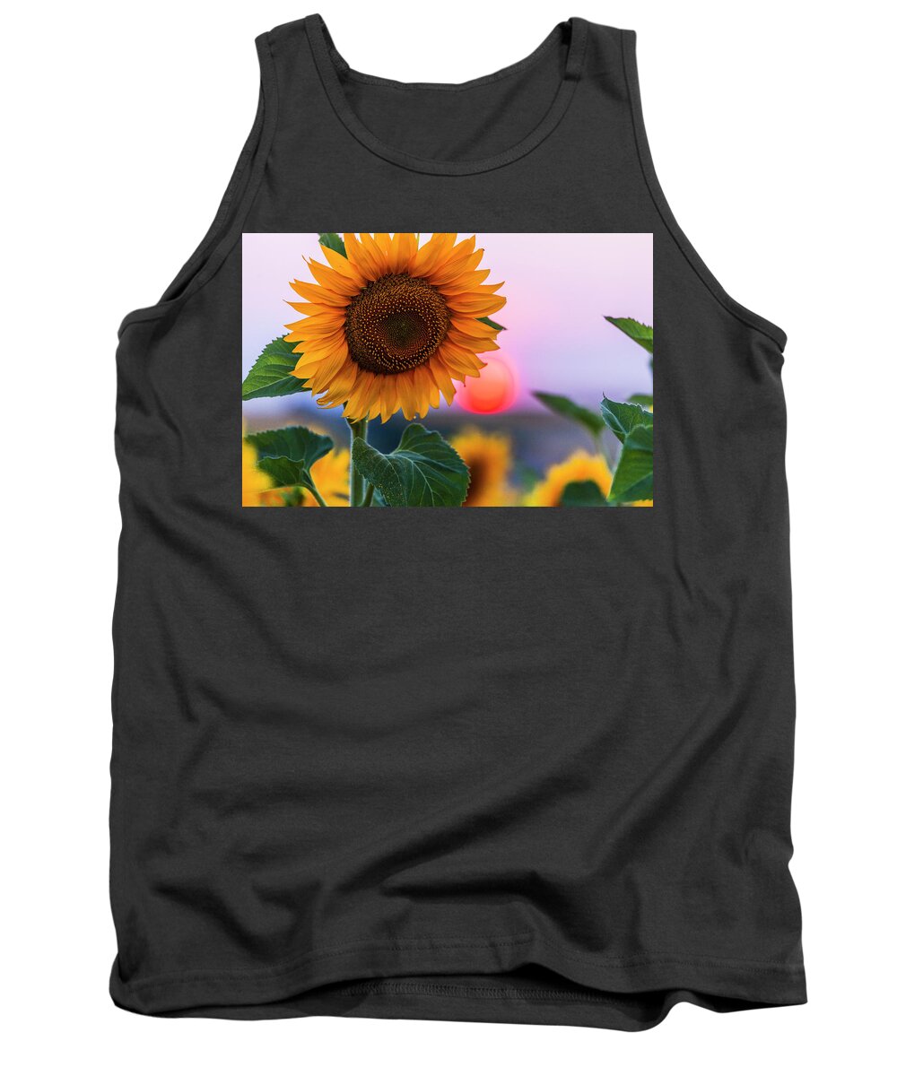 Bulgaria Tank Top featuring the photograph Sunflower by Evgeni Dinev