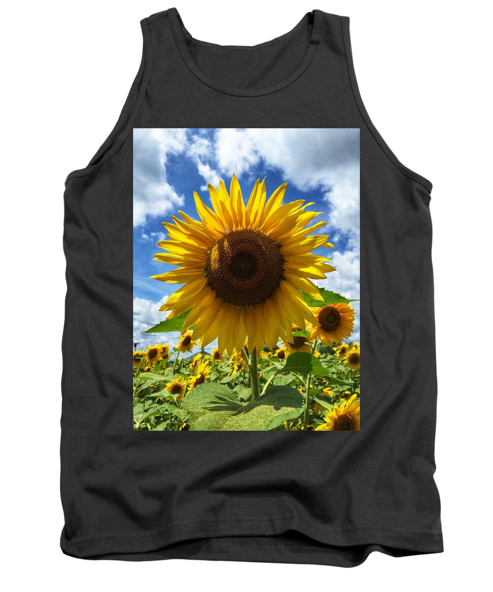 Flowers Tank Top featuring the photograph Sunflower Halo by Mark Truman