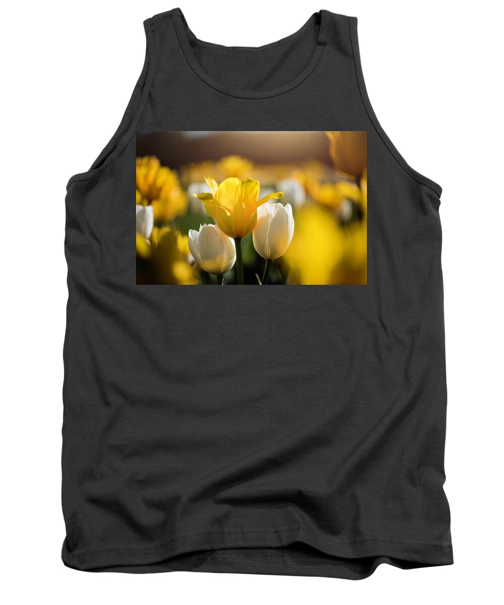  Tank Top featuring the photograph Sunny Tulips by Nicole Engstrom