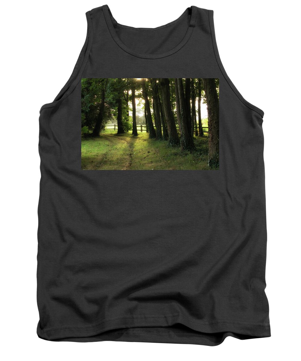 Sunrise Tank Top featuring the photograph Sunrise Through the Trees by Lisa Chorny