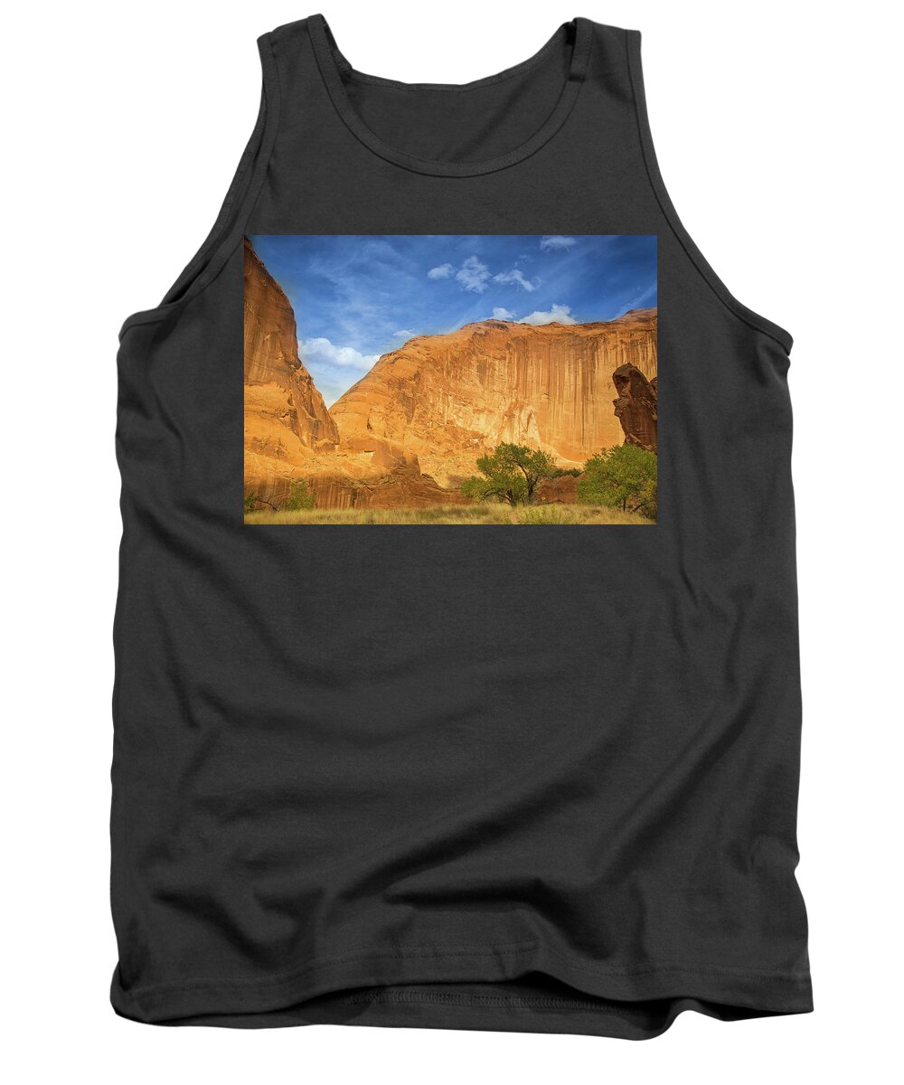 Faa_export Tank Top featuring the photograph Sunset in Escalante National Monument by Kunal Mehra