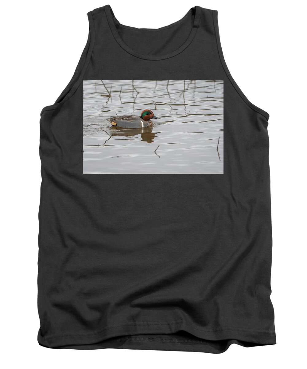 Afternoon Tank Top featuring the photograph Swimming Teal Male by Robert Potts