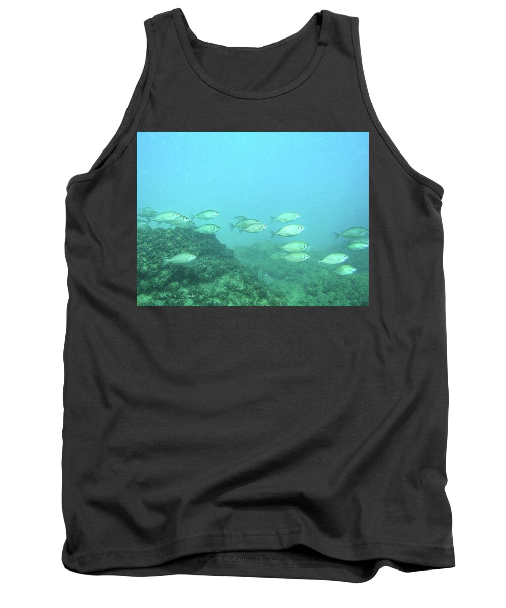 Fish Tank Top featuring the photograph Go Right by Meir Ezrachi